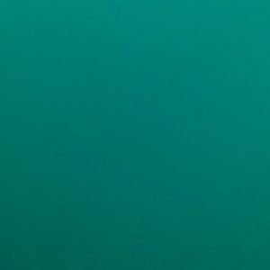 Meet your Posher, Sindy